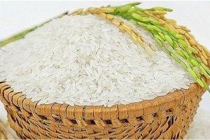 Giá lúa gạo hôm nay 28/4: Lúa tươi vững giá, gạo xuất khẩu tiếp tục tăng