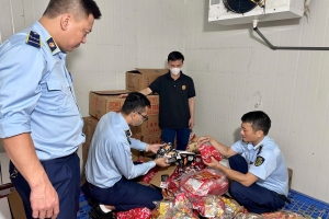 Thái Nguyên thu giữ 17.500 sản phẩm thực phẩm nhập lậu
