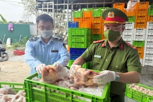 Hà Nội tạm giữ hàng chục tấn gà đông lạnh không đảm bảo chất lượng