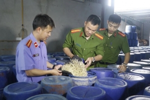 Báo động thực phẩm bẩn xâm nhập bếp ăn tập thể: Nguy cơ tiềm ẩn khôn lường