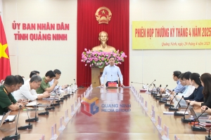 UBND tỉnh Quảng Ninh họp thường kỳ tháng Tư