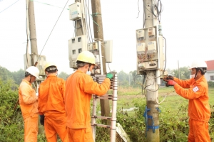 Long An triển khai kế hoạch cấp điện cho 170 hộ dân vùng sâu, vùng xa
