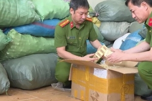 Thái Bình tăng cường đấu tranh phòng, chống thuốc giả, thực phẩm bảo vệ sức khỏe giả