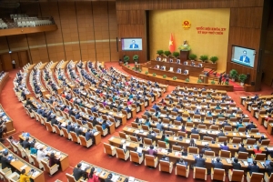 Hôm nay, Quốc hội thảo luận về 4 luật, đáng chú ý là Luật Chất lượng sản phẩm, hàng hóa