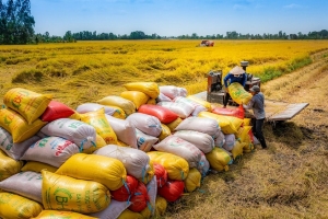 ADB hỗ trợ an ninh lương thực lên tới 40 tỷ đô la vào năm 2030