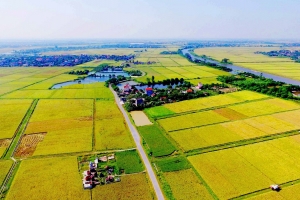 Bộ Tài chính đề xuất chính sách miễn thuế đất nông nghiệp đến năm 2030