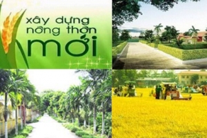 Chính phủ quyết định điều chỉnh giảm, tăng vốn thực hiện Chương trình mục tiêu quốc gia xây dựng nông thôn mới
