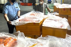 Hà Nội tạm giữ trên 7 tấn nội tạng động vật không rõ nguồn gốc