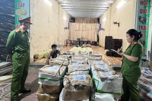 Sơn La phát hiện 300kg rau củ dương tính với chất độc hại