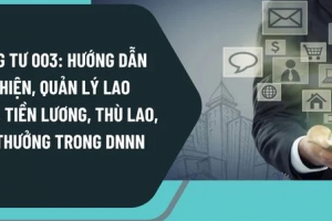 Bộ Nội vụ hướng dẫn quản lý lao động, tiền lương, thù lao, tiền thưởng doanh nghiệp Nhà nước