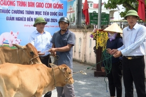 Quảng Bình chi gần 280 tỷ đồng được phân bổ cho các chương trình hỗ trợ giảm nghèo và phát triển vùng đồng bào dân tộc thiểu số