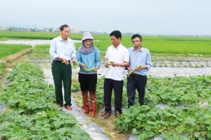 Bắc Ninh: Hơn 648.000 lượt hội viên nông dân ký cam kết “Nói không với thực phẩm không an toàn”
