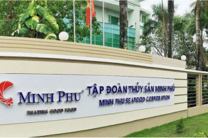 Thuỷ sản Minh Phú lãi trở lại 17,68 trong quý I/2025, đánh dấu sự phục hồi sau hai quý liên tiếp thua lỗ