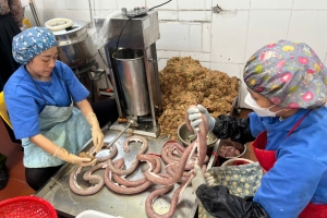Phát hiện cơ sở chế biến lòng dồi "bẩn" tại phường Hà Phong