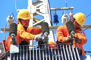 Top 10 doanh nghiệp nộp ngân sách lớn nhất - Bài 8: EVN số 8