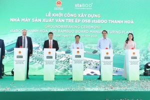 Khởi công xây dựng nhà máy sản xuất ván tre ép gần 3.200 tỷ đồng tại Thanh Hóa