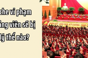 Tổ chức, cá nhân có hành vi bao che, che giấu vi phạm của đảng viên có thể bị xử lý hình sự