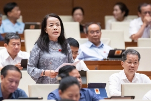 Thảo luận tại hội trường: Sửa đổi, bổ sung 2 nhóm nội dung trong Hiến pháp năm 2013