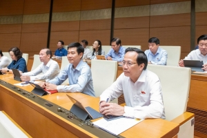 Đại biểu Quốc hội: Sửa đổi, bổ sung Hiến pháp năm 2013 đáp ứng yêu cầu trong thời kỳ mới, nhất là việc sắp xếp đơn vị hành chính