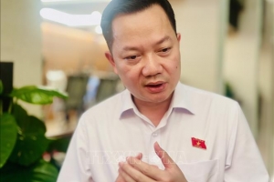 Cần xử lý nghiêm các sai phạm trong quản lý an toàn thực phẩm