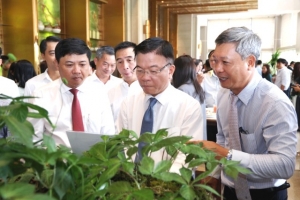 Thương hiệu sâm Ngọc Linh là di sản văn hóa phi vật thể quốc gia