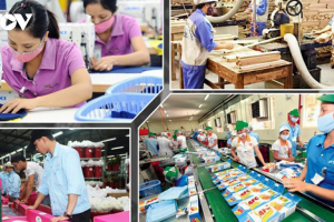 Phó Thủ tướng Hồ Đức Phớc: Còn nhiều băn khoăn về tính thực tiễn của Nghị quyết 68