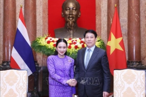 Chủ tịch nước: Thúc đẩy hợp tác Việt Nam-Thái Lan ngày càng thực chất, hiệu quả