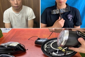 Triệt phá hai đường dây buôn lậu phụ tùng xe điện, ắc quy khủng từ Trung Quốc