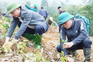 Lào Cai: Trồng mới gần 30.000 cây phân tán tại huyện Văn Bàn