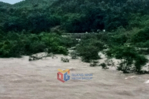 Quảng Ninh: 7 học sinh đi tắm suối bị lũ cuốn