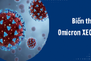 TP. Hồ Chí Minh kích hoạt ứng phó COVID-19, cảnh báo biến chủng Omicron XEC cần theo dõi