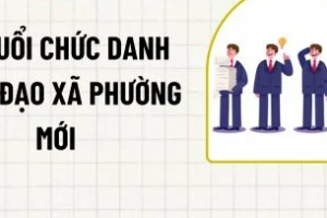 Hướng dẫn mới nhất về độ tuổi nhân sự cấp xã, phường sau sắp xếp