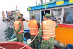 Vi phạm về thiết bị giám sát hành trình, một ngư dân Quảng Trị bị phạt 150 triệu đồng
