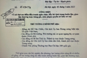 Khi nào Bình Định mới triển khai Công điện số 65/CĐ-TTg của Chính phủ?