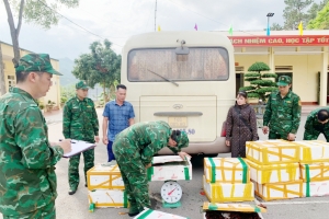 Bộ đội Biên phòng Quảng Ninh bắt giữ vụ vận chuyển gần 200kg tôm hùm đất trái phép