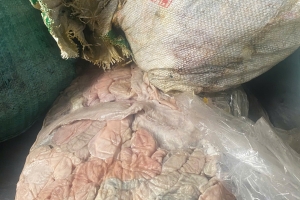 Phát hiện 1,3 tấn nội tạng lợn bốc mùi hôi thối trong một doanh nghiệp tại Hải Dương