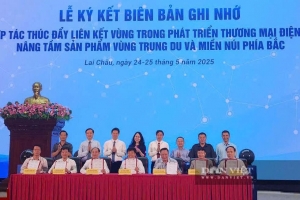 Thúc đẩy liên kết vùng trong phát triển thương mại điện tử tại trung du và miền núi phía Bắc