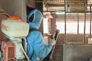 Gia Lai tăng cường công tác khám, phát hiện, điều trị ca bệnh Covid-19
