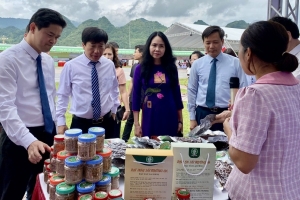 Nhiều giải pháp công nghệ số tại Hội nghị Liên kết vùng tại Lai Châu