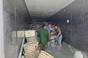 Thu giữ hơn 25 tấn thực phẩm đông lạnh đang bốc mùi, không rõ nguồn gốc tại Móng Cái
