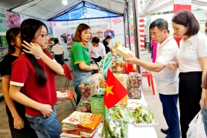 Saigon Co.op dự kiến đưa vải thiều Bắc Giang vào hơn 800 điểm bán trên toàn quốc