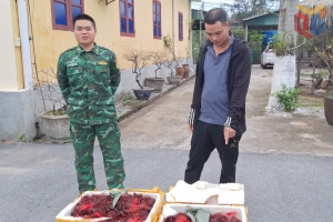 Đồn Biên phòng Trà Cổ: Bắt giữ đối tượng vận chuyển trái phép 80kg tôm hùm đất