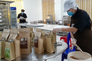 Quy định mới của EU sẽ tác động mạnh đến ngành ca cao