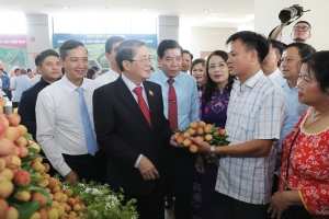 Bắc Giang: Tăng cường kết nối, đẩy mạnh xúc tiến tiêu thụ vải thiều và sản phẩm đặc trưng