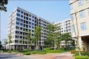Người trẻ trở thành “trụ cột” của thị trường nhà ở: Cơ hội và thách thức