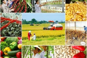 Gần 50 doanh nghiệp Việt Nam hôm nay sang Mỹ tìm cơ hội nhập khẩu nông lâm thủy sản