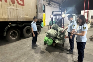 Quảng Ninh tạm giữ hơn 12 tấn chân gà bốc mùi hôi thối trong kho lạnh