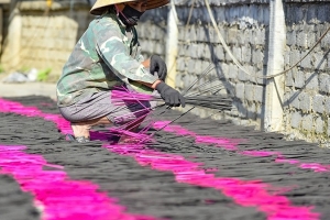 Phát triển sản phẩm OCOP ở làng nghề truyền thống tại Thanh Hóa