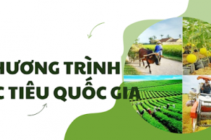 Quyết định thành lập Ban Chỉ đạo Trung ương các chương trình mục tiêu quốc gia