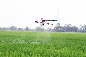 Phấn đấu đến năm 2030, tỷ trọng nông nghiệp ứng dụng công nghệ cao đạt trên 40%